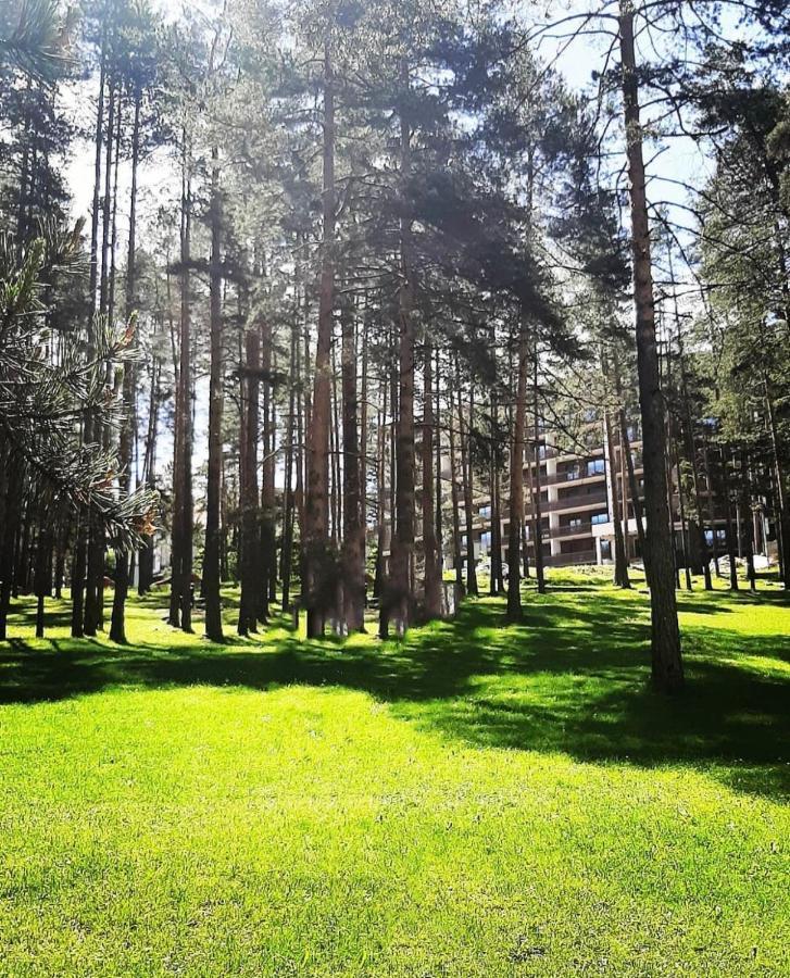 Panorama Lux Apartmani Vila Pekovic Zlatibor Extérieur photo